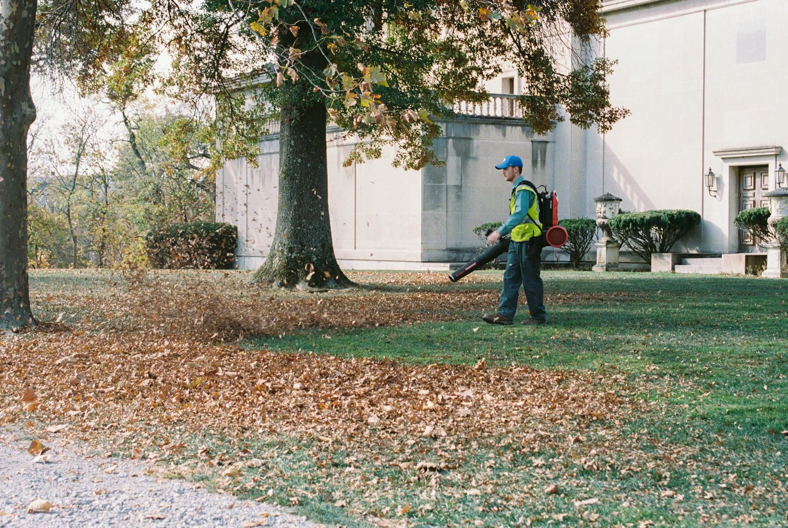 General Yard Clean-Ups, B&B Quality Gardening Maintenance