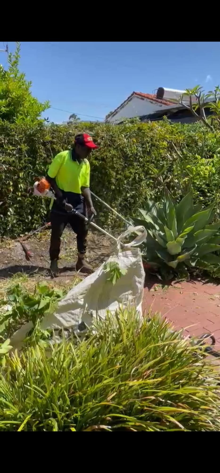 B&B Quality Gardening Maintenance crew clearing green waste into bags, Perth